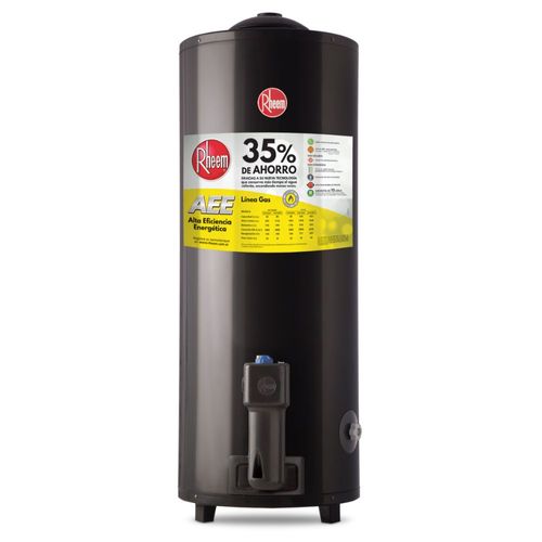 Termotanque a Gas Rheem TGNP150RH 150LT