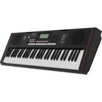 Organo-Teclado-Roland-EX10-2