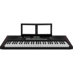 Organo-Teclado-Roland-EX10-4